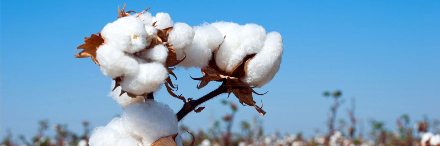 "Schnäuz-Sicherheit" (Fadendichte)